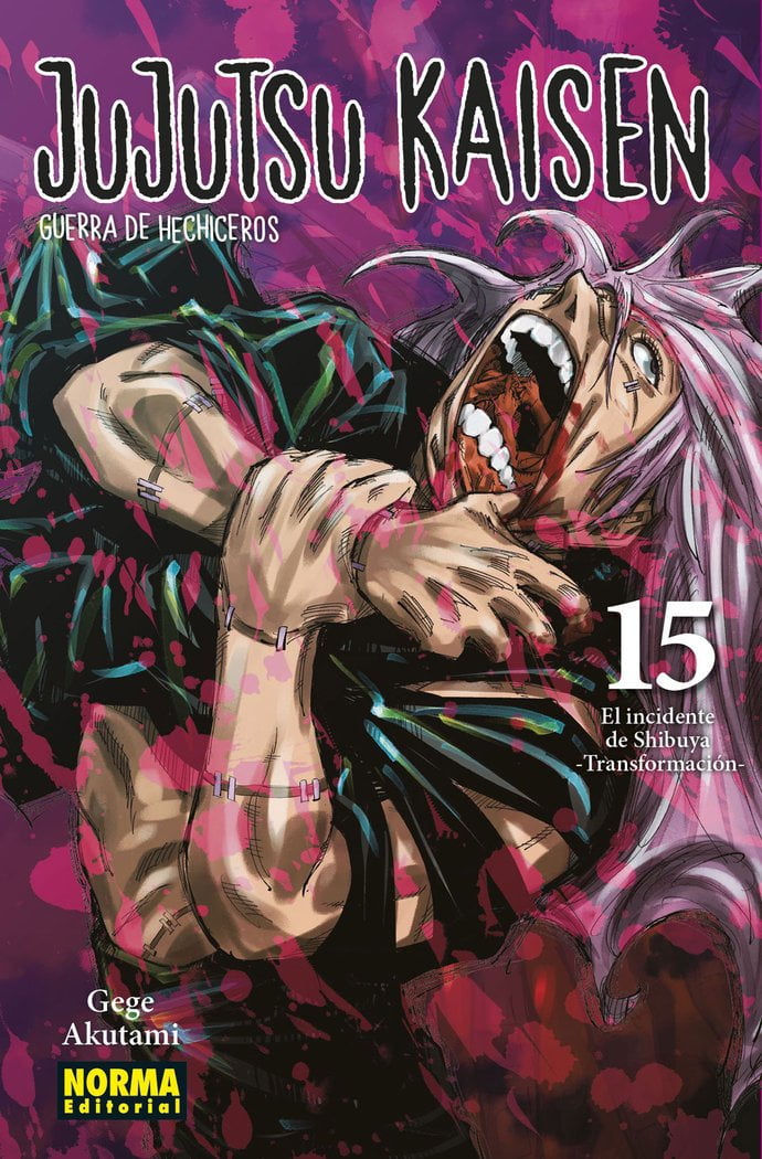 Jujutsu-Kaisen-15.jpg