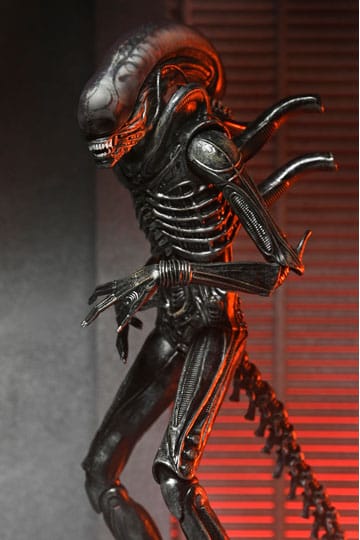 Alien: Romulus Figura Ultimate Xenomorph XX121 18 cm