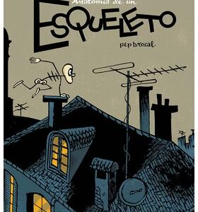 Anatomia De Un Esqueleto