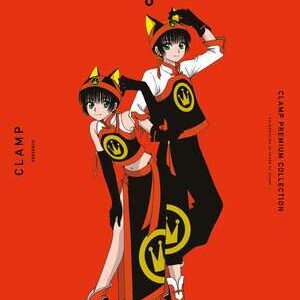 Tokyo Babylon 6