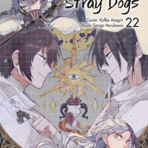 Bungou Stray Dogs 22