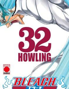 Bleach Bestseller 32