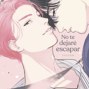 No Te Dejare Escapar